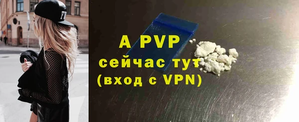 винт Дмитриев