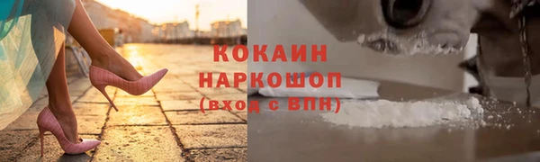 винт Дмитриев