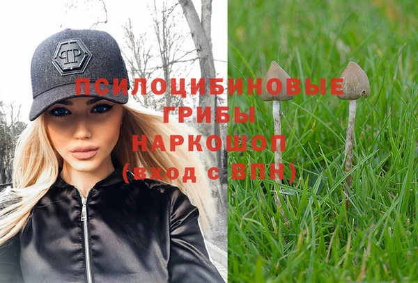винт Дмитриев