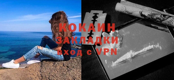 винт Дмитриев