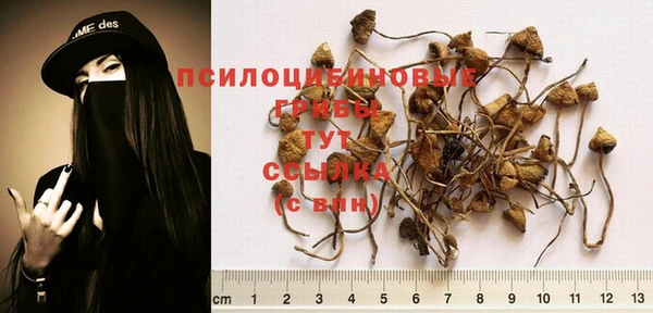 a pvp Дмитровск