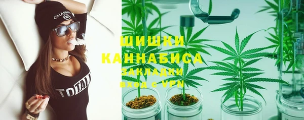 винт Дмитриев