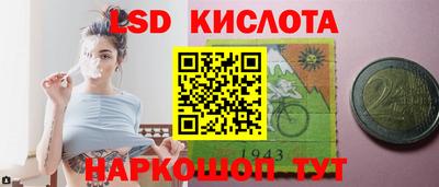 стафф Гусев