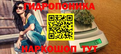 дживик Гусь-Хрустальный