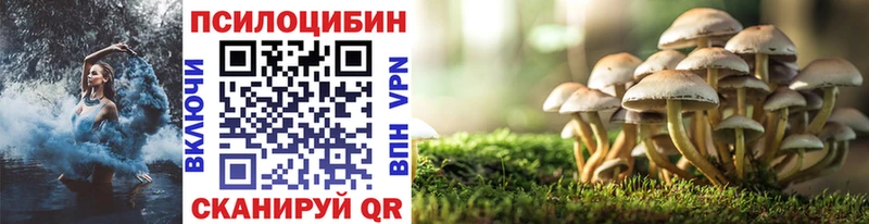 kraken ONION Жуковский Галлюциногенные грибы Cubensis