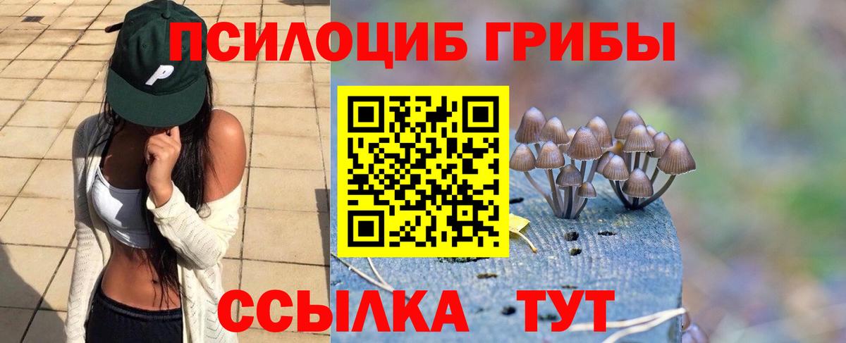 Галлюциногенные грибы Cubensis  Вход с VPN  Галлюциногенные грибы Cubensis  Жуковский 